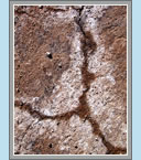 Click to See Fullsize Image